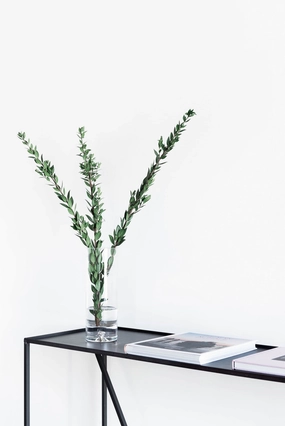 Arden Console