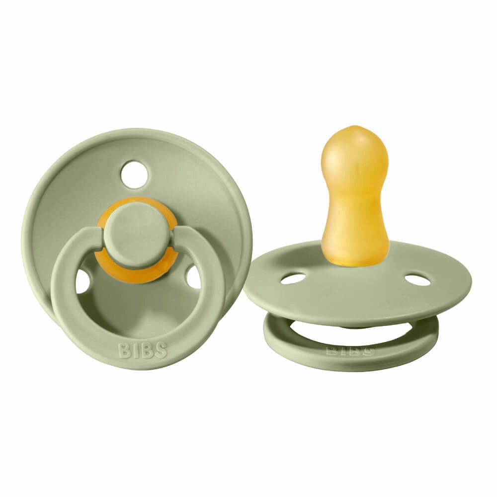 BIBS Colour Dummies 2pk