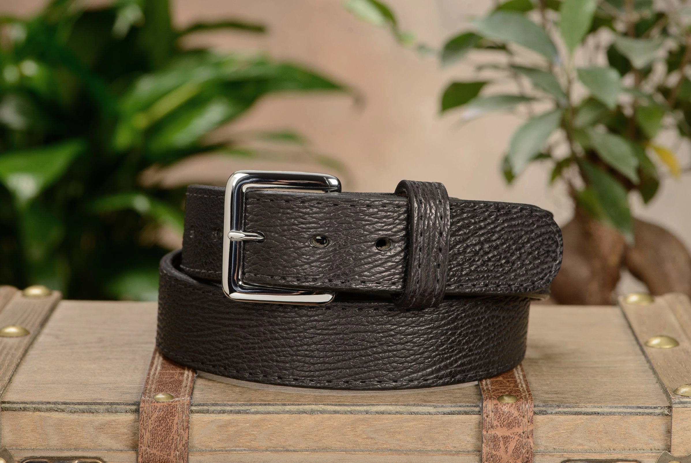 Black Shark Money Belt With 25" Zipper 1.50" Wide