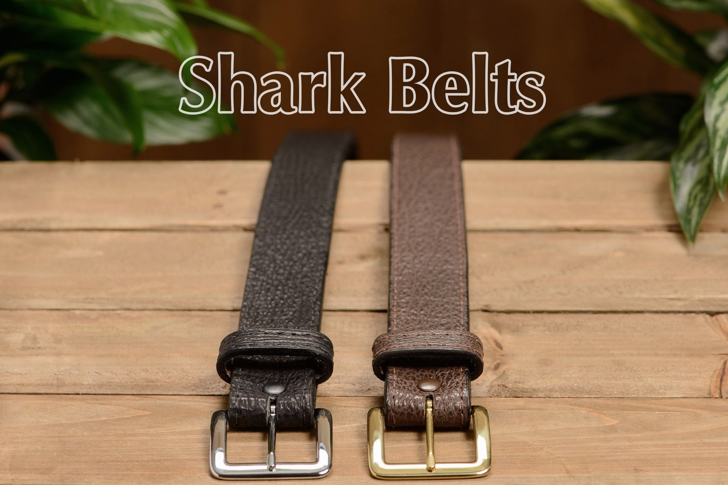 Black Shark Money Belt With 25" Zipper 1.50" Wide