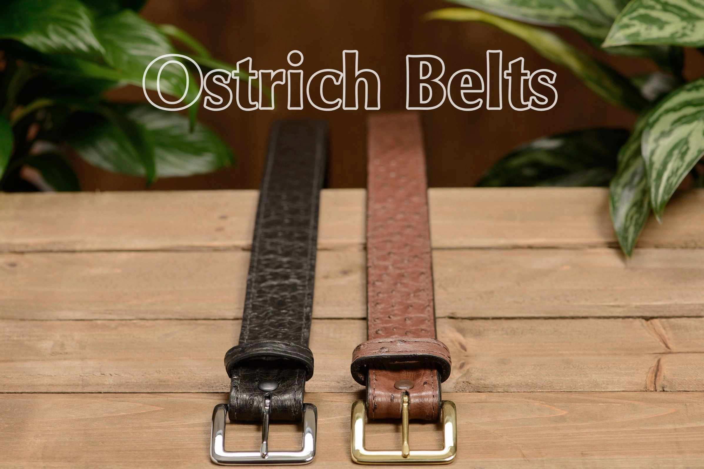 Black South African Ostrich Skin Money Belt With 25" Zipper 1.50" Wide