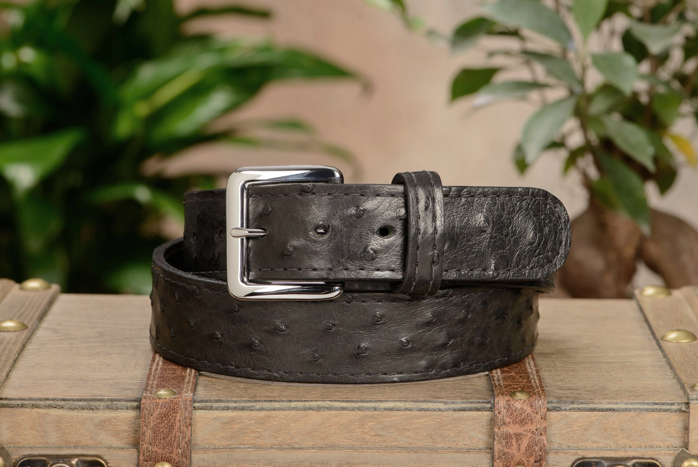Black South African Ostrich Skin Money Belt With 25" Zipper 1.50" Wide