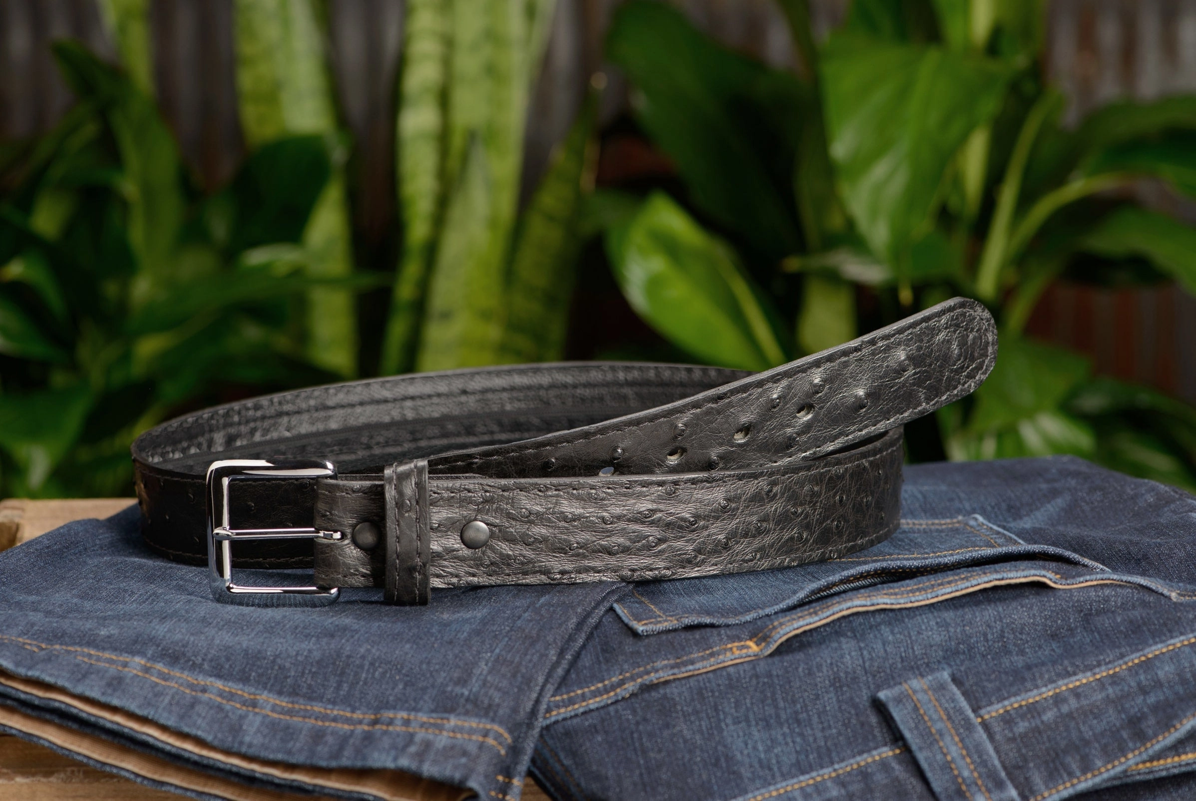 Black South African Ostrich Skin Money Belt With 25" Zipper 1.50" Wide