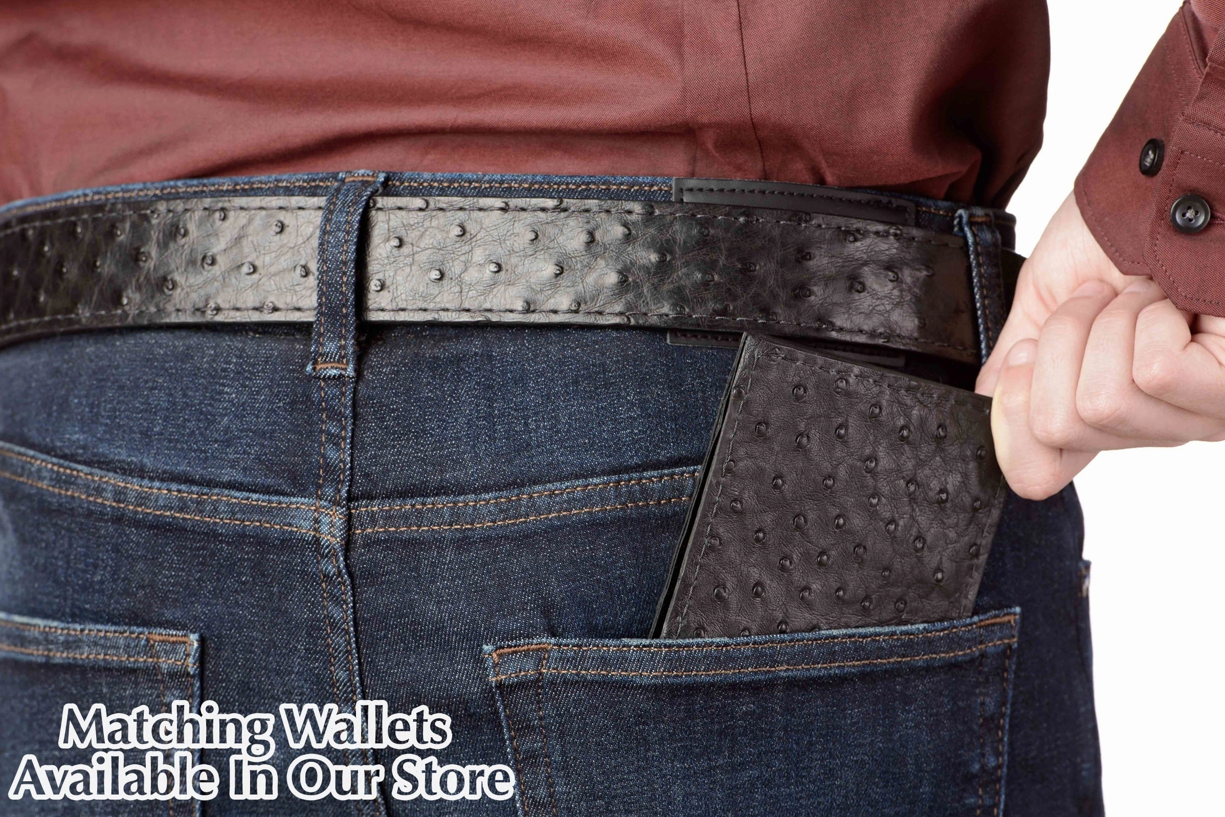 Black South African Ostrich Skin Money Belt With 25" Zipper 1.50" Wide