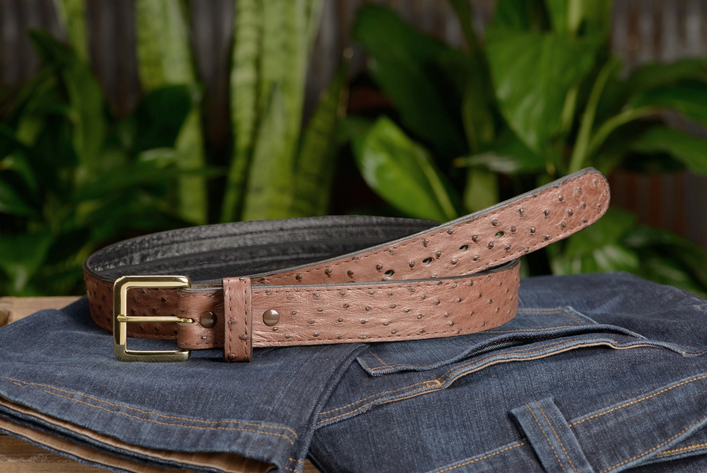 Brown South African Ostrich Skin Money Belt With 25" Zipper 1.50" Wide