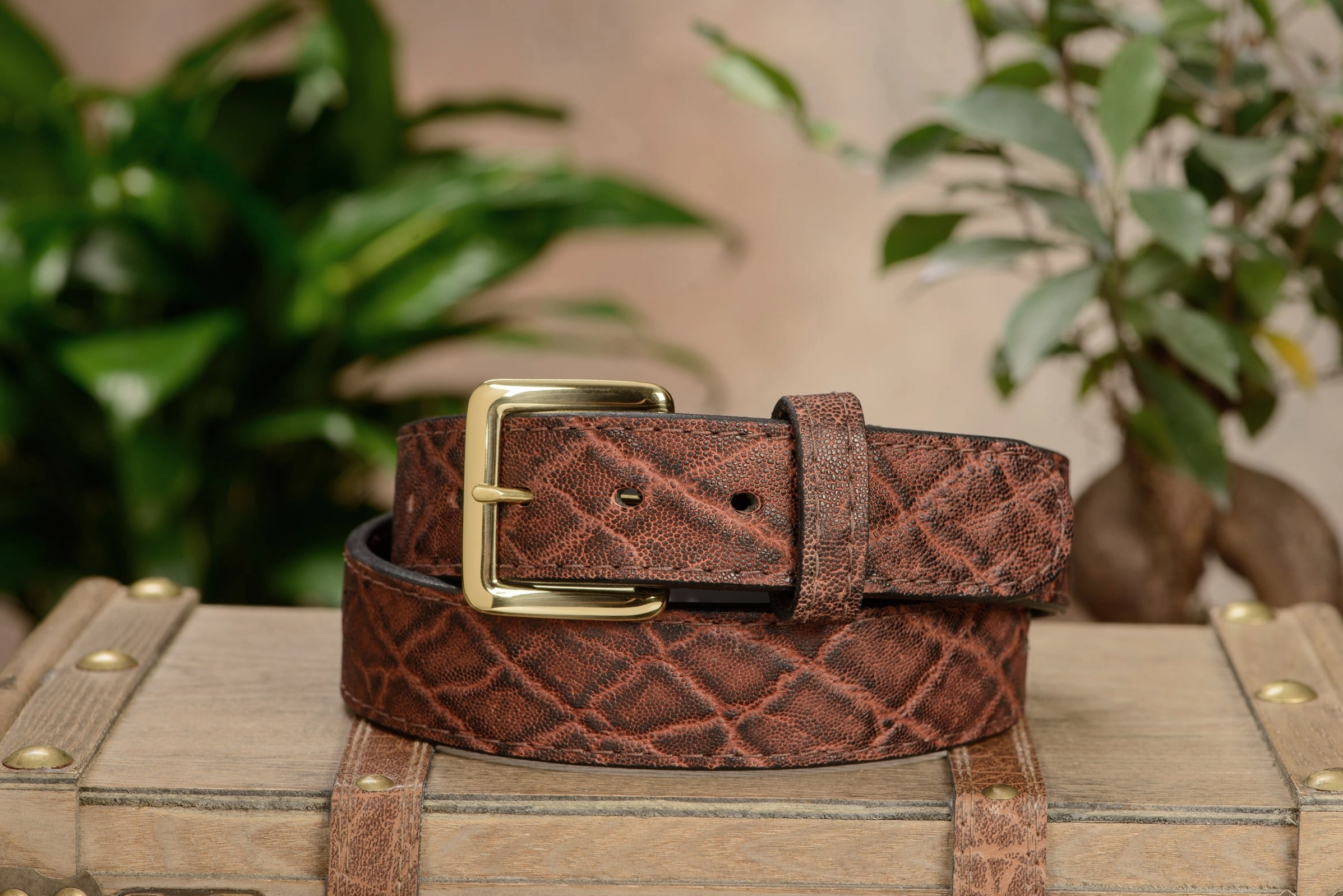 Dragon Fire Elephant Money Belt With 25" Zipper 1.50" Wide