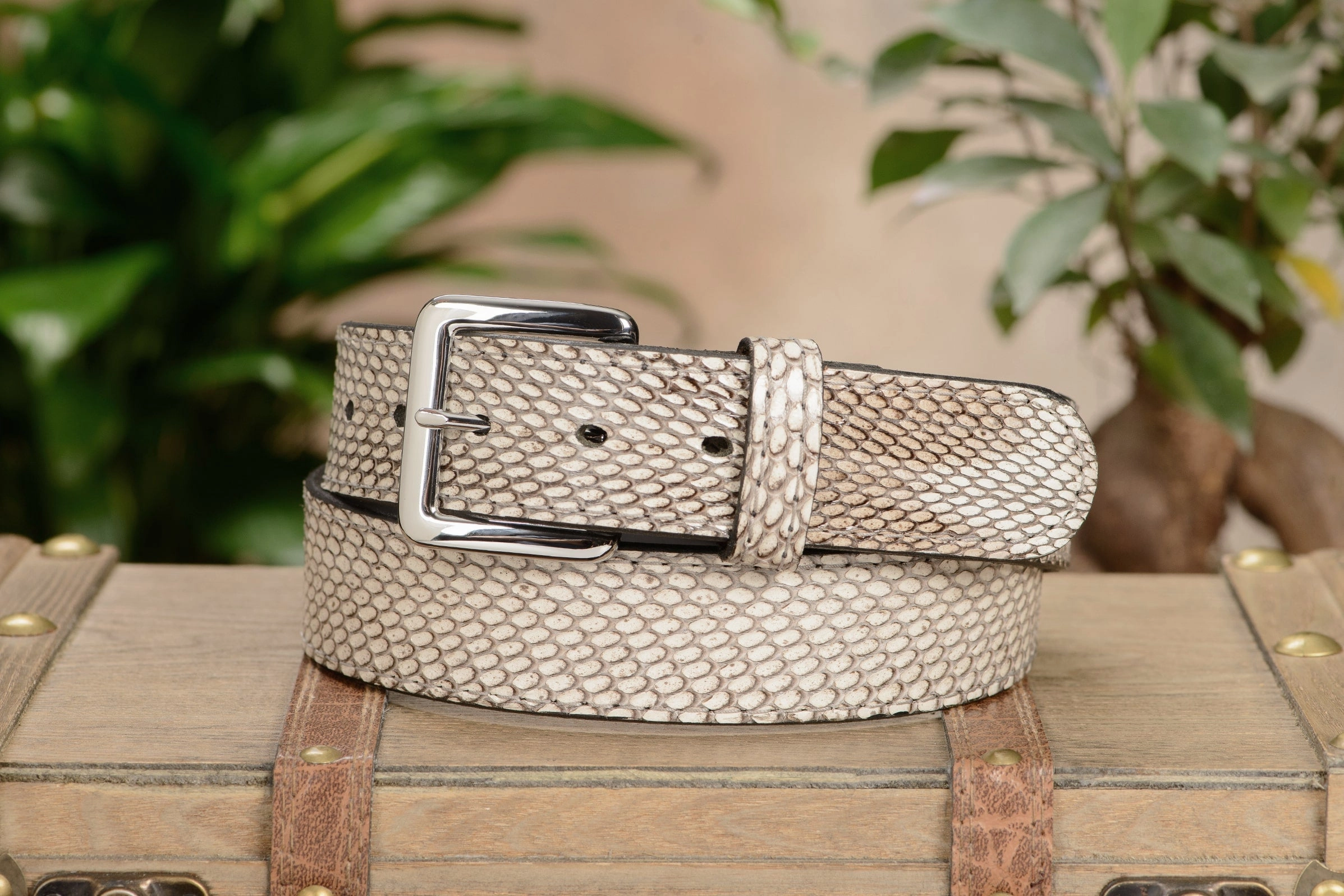 Indonesian Spitting Cobra Money Belt With 25" Zipper 1.50" Wide