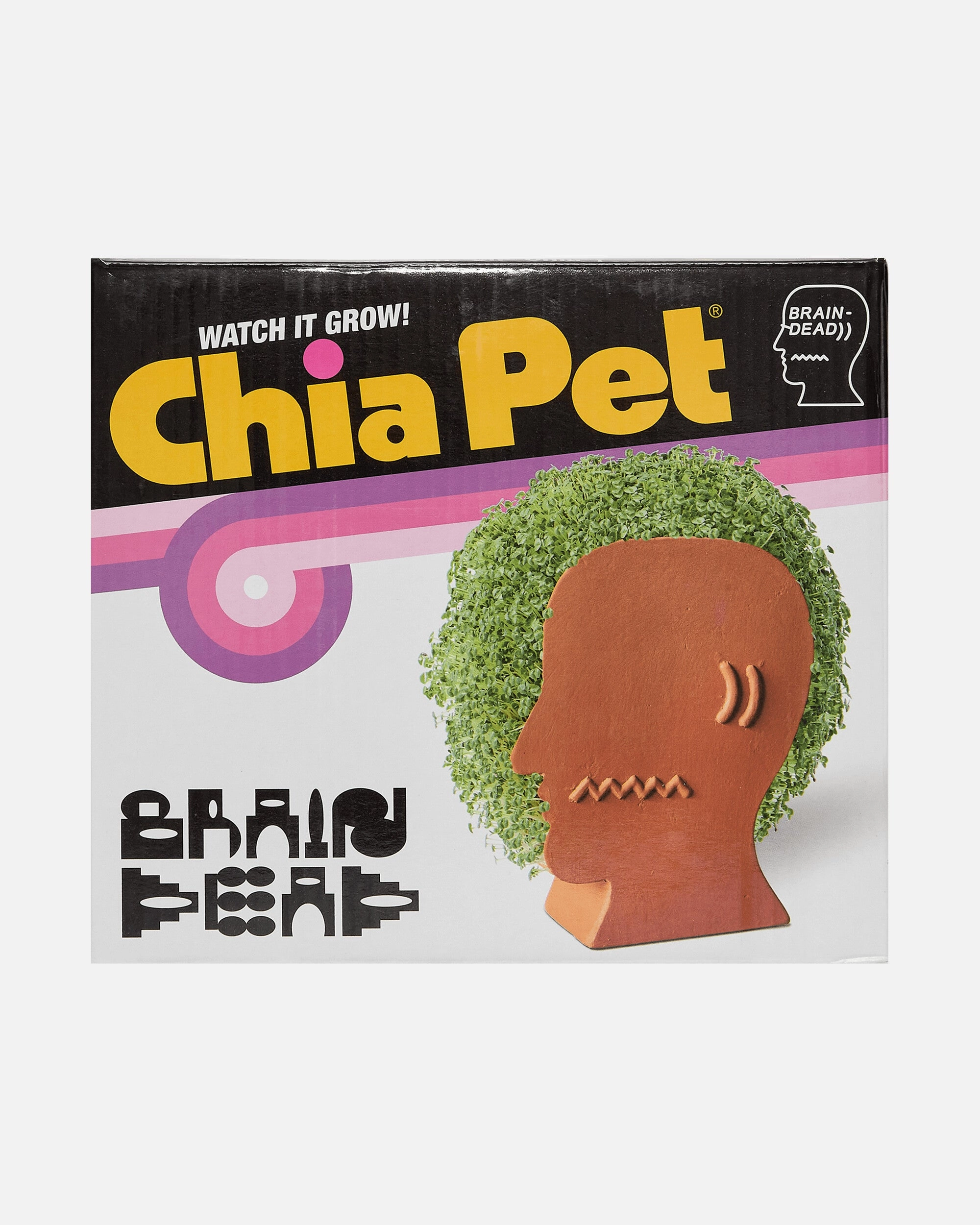 Logohead Chia Pet Green / Multi