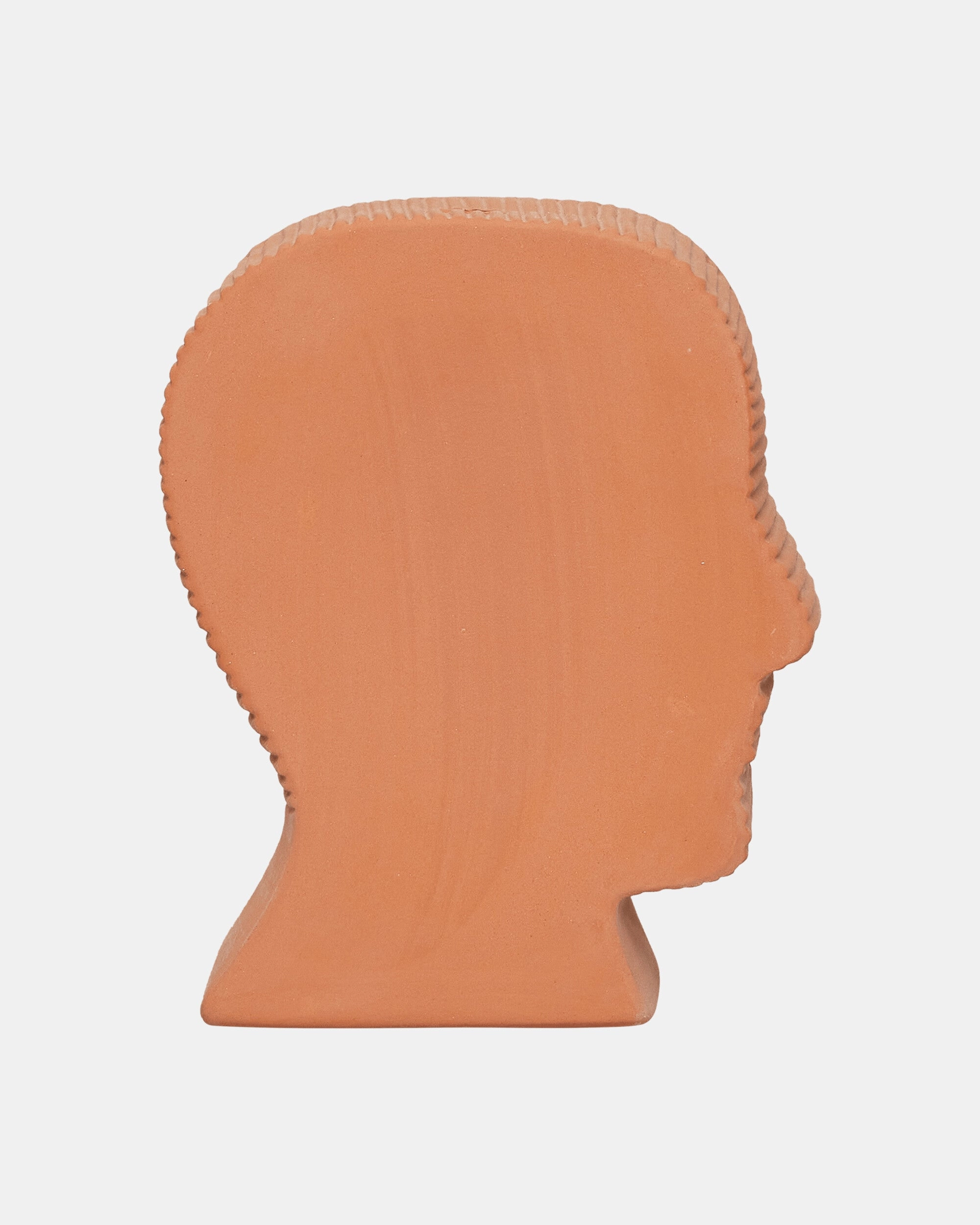 Logohead Chia Pet Green / Multi