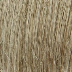 Poppy by Wig Pro | CLOSEOUT