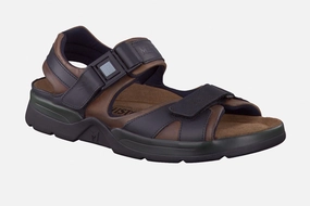 Shark - Dark Brown 5751/5700
