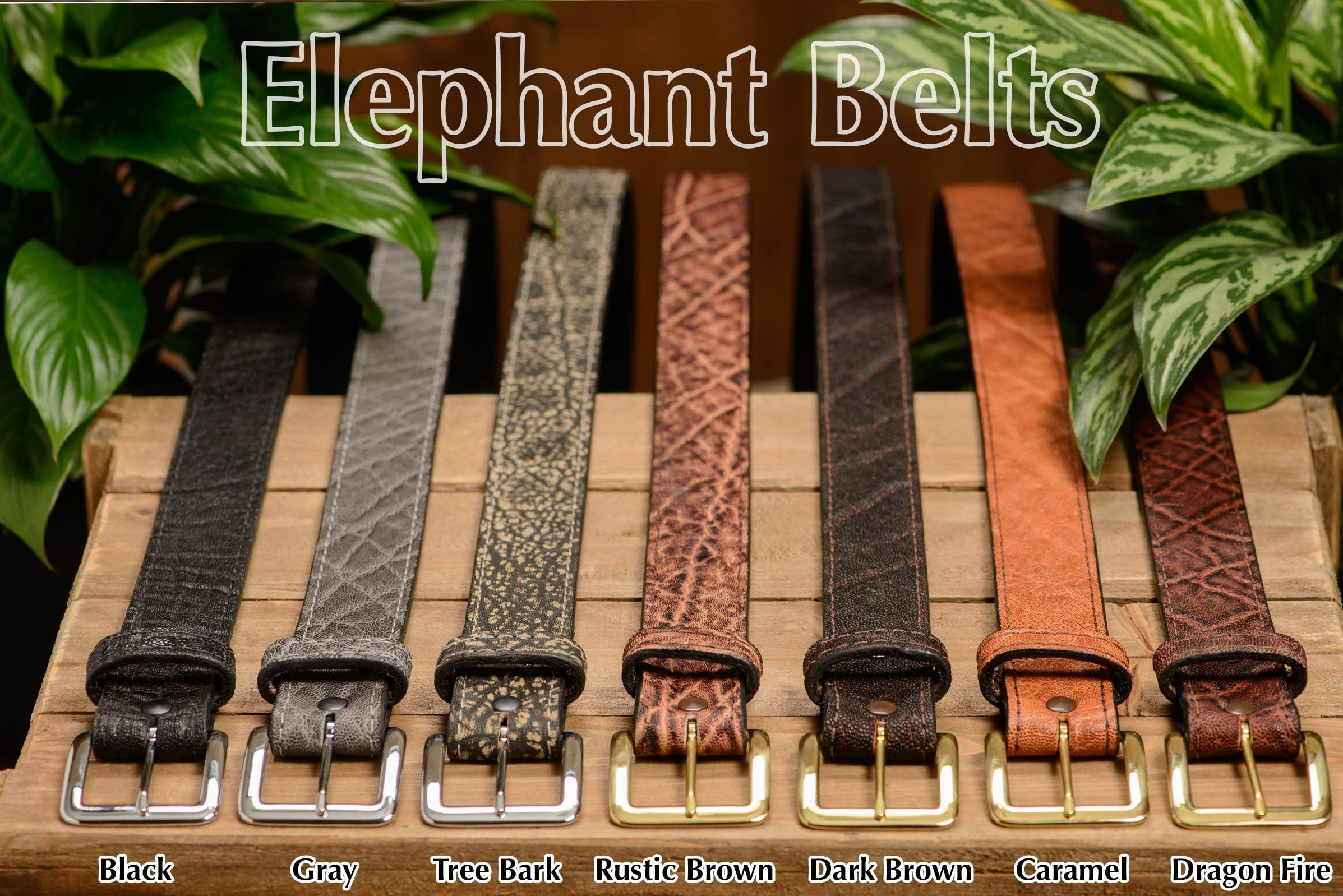Tree Bark Elephant Money Belt With 25" Zipper 1.50" Wide