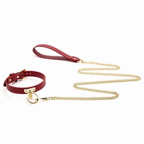 ZYL Faux Leather T-Plate Posture Collar & Chain Leash