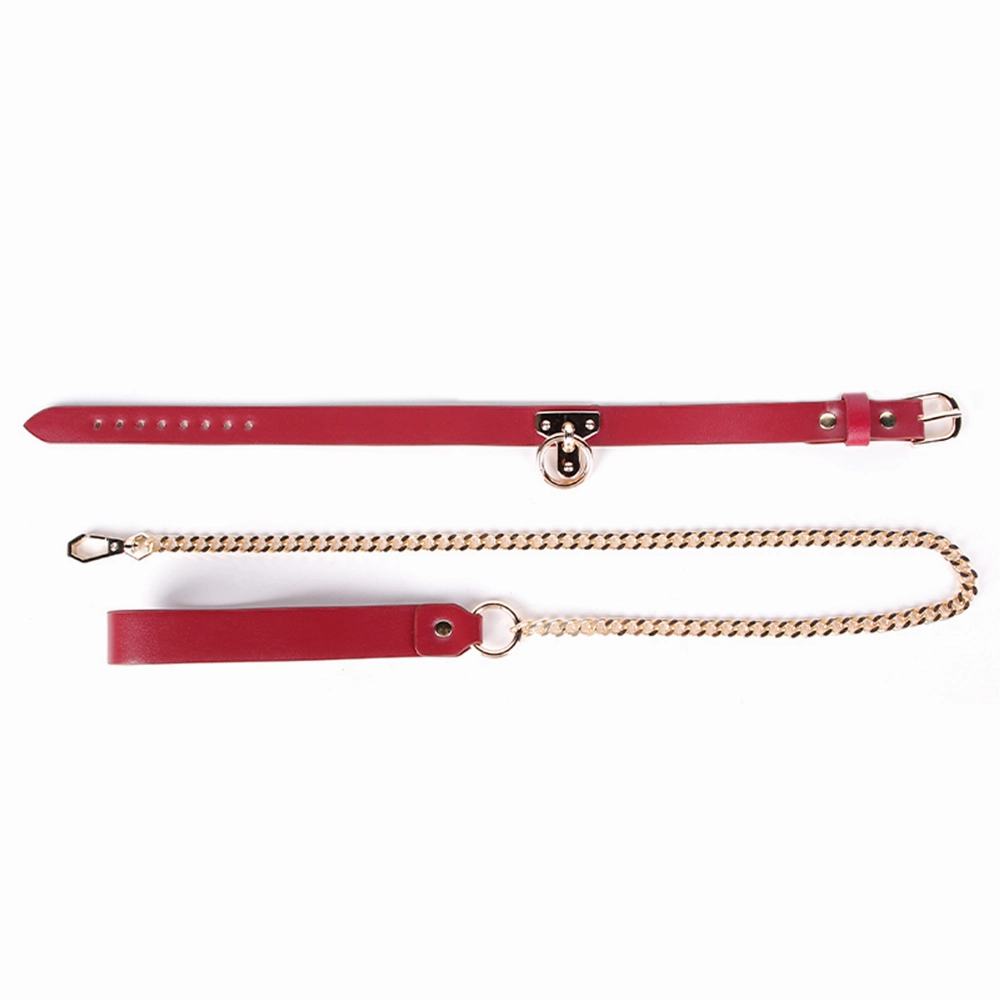 ZYL Faux Leather T-Plate Posture Collar & Chain Leash