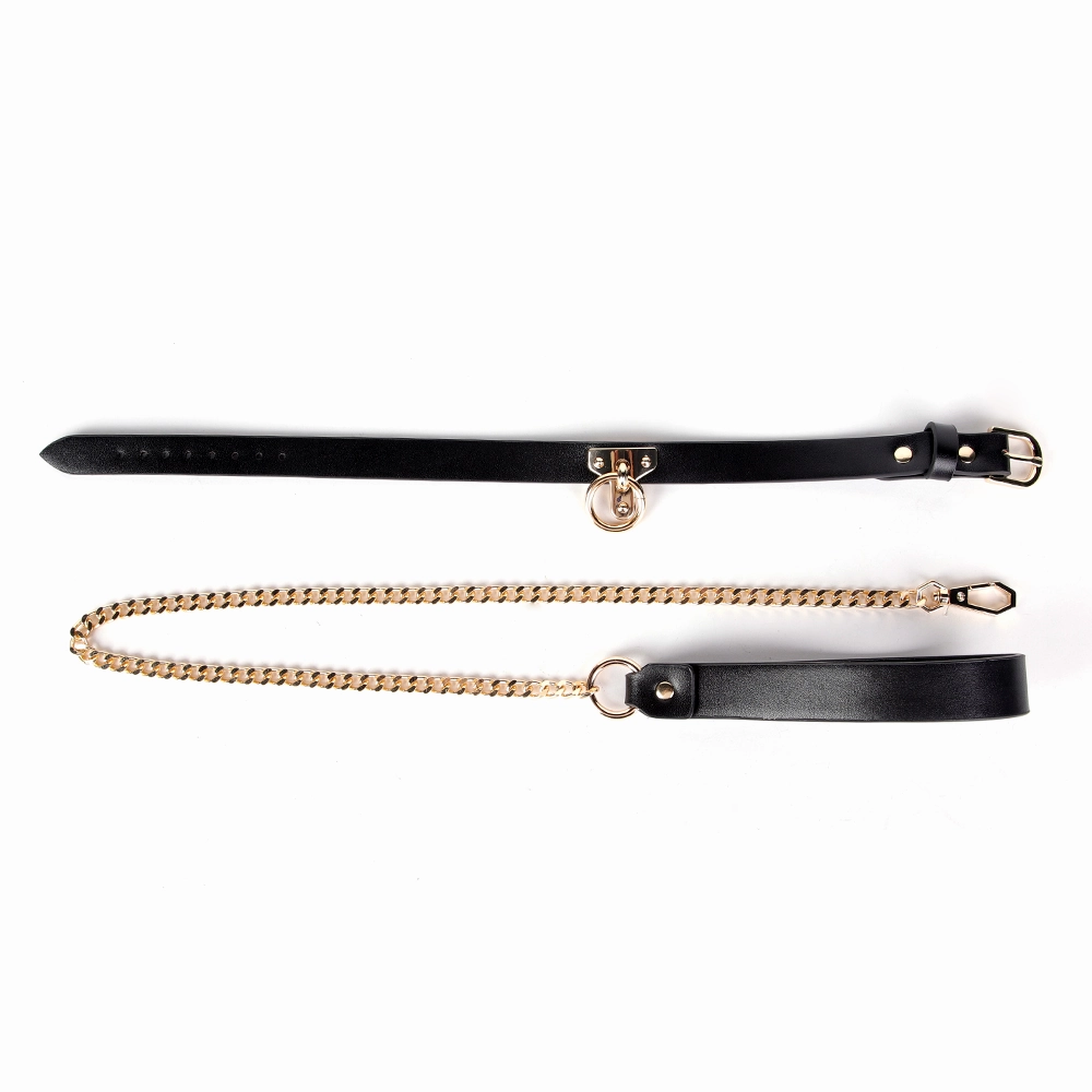 ZYL Faux Leather T-Plate Posture Collar & Chain Leash